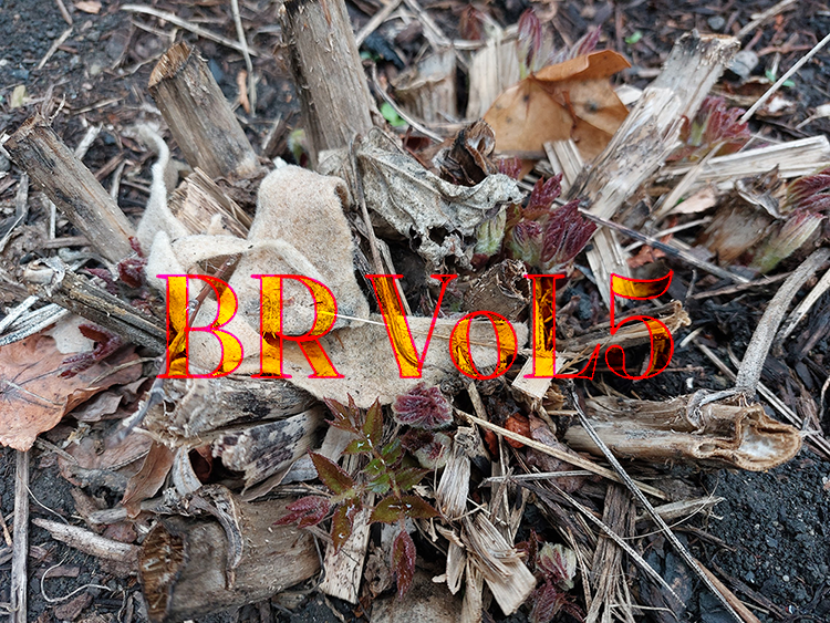 promotional image for Vol. 5