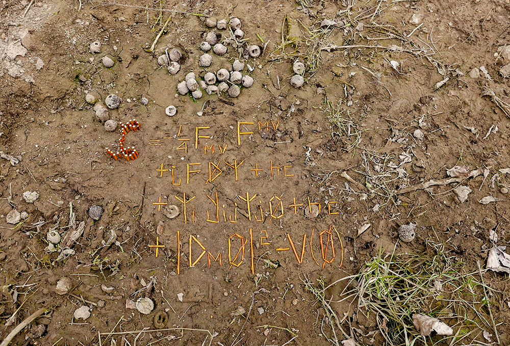 Bill Mitchell: Walnuts with Equation