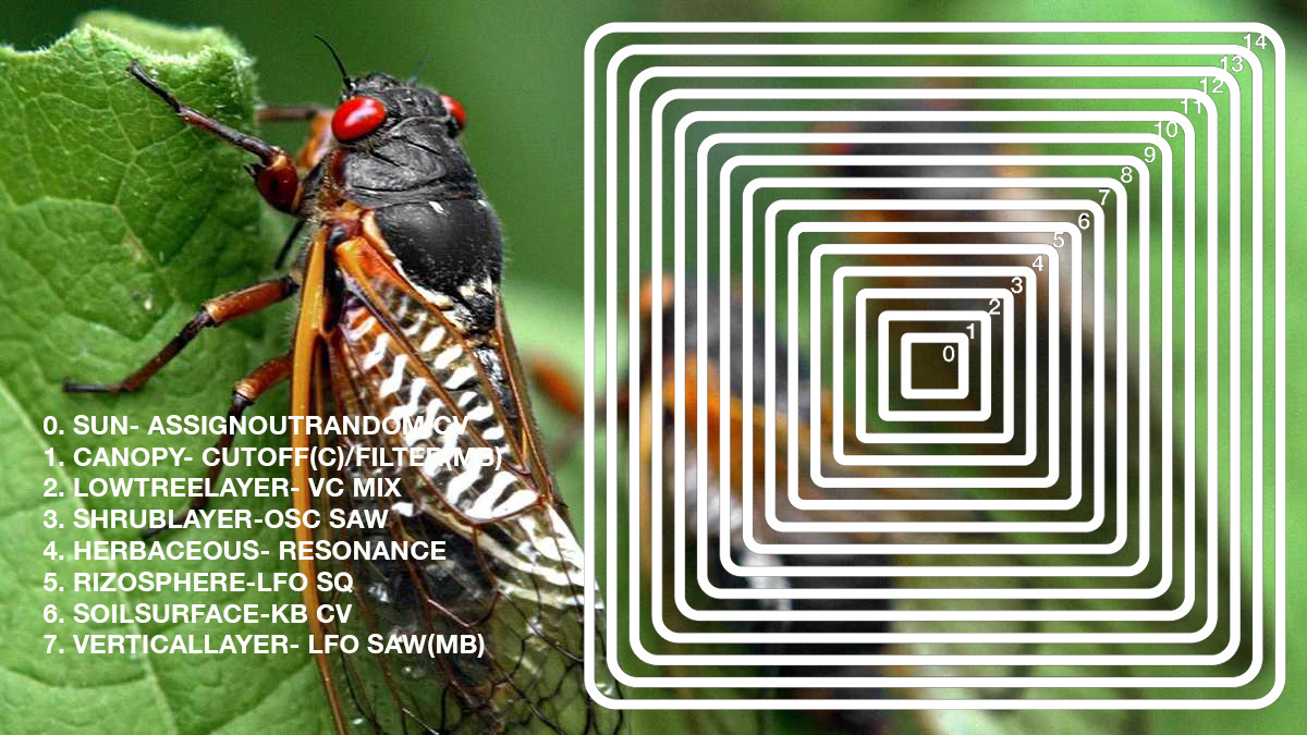 Christopher Smith: permaculture guild as synth patch with fact of cicada blooms