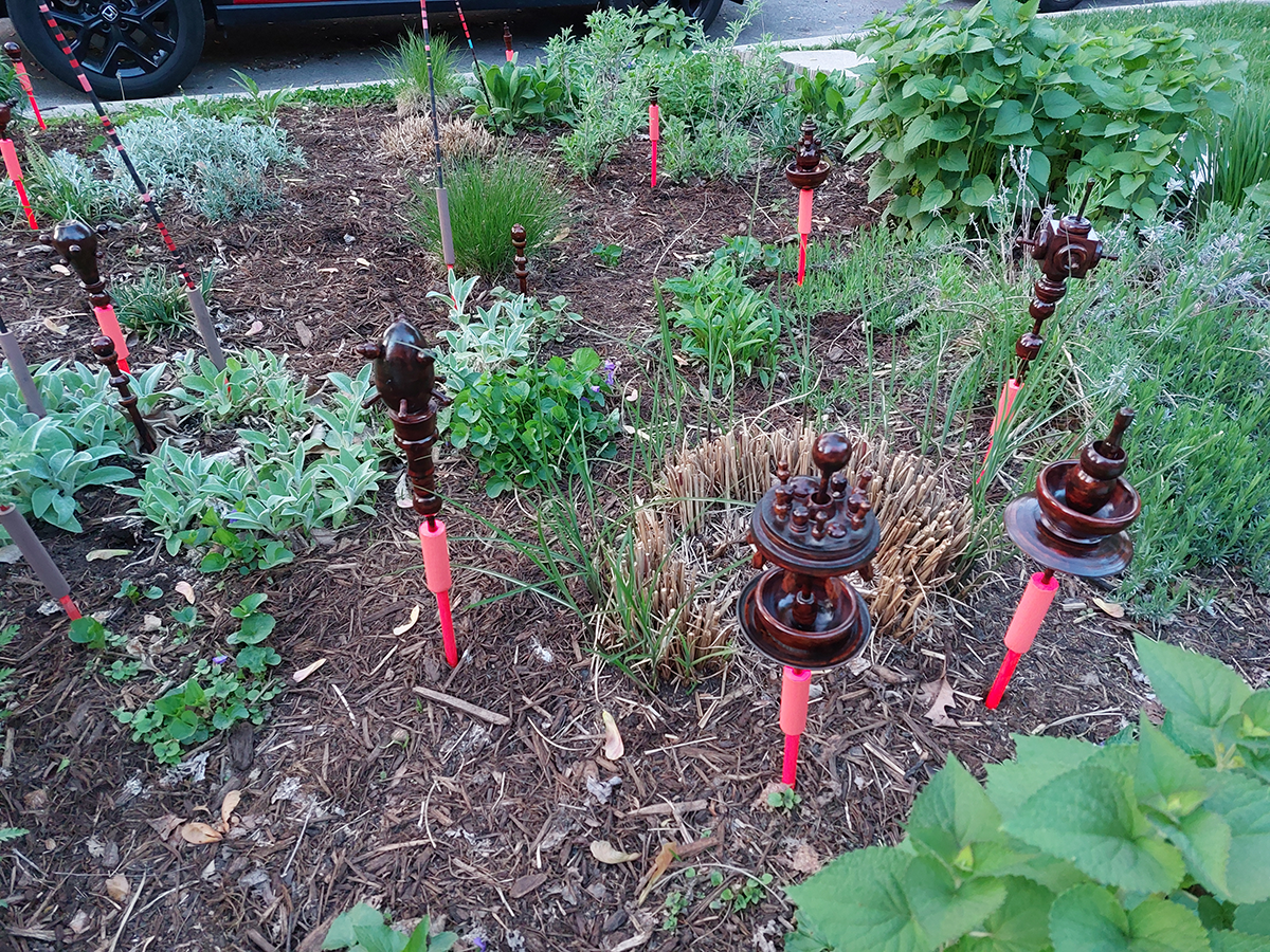 Garden installation, May 1
