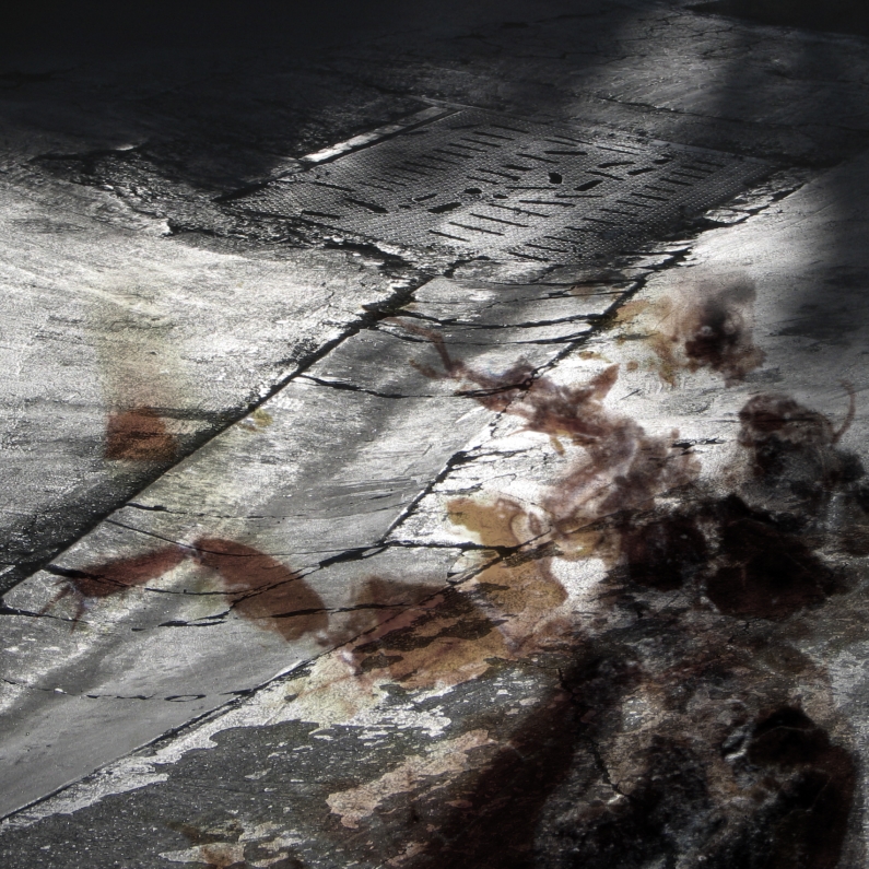 Albert Vass, insect scan over asphalt parking lot