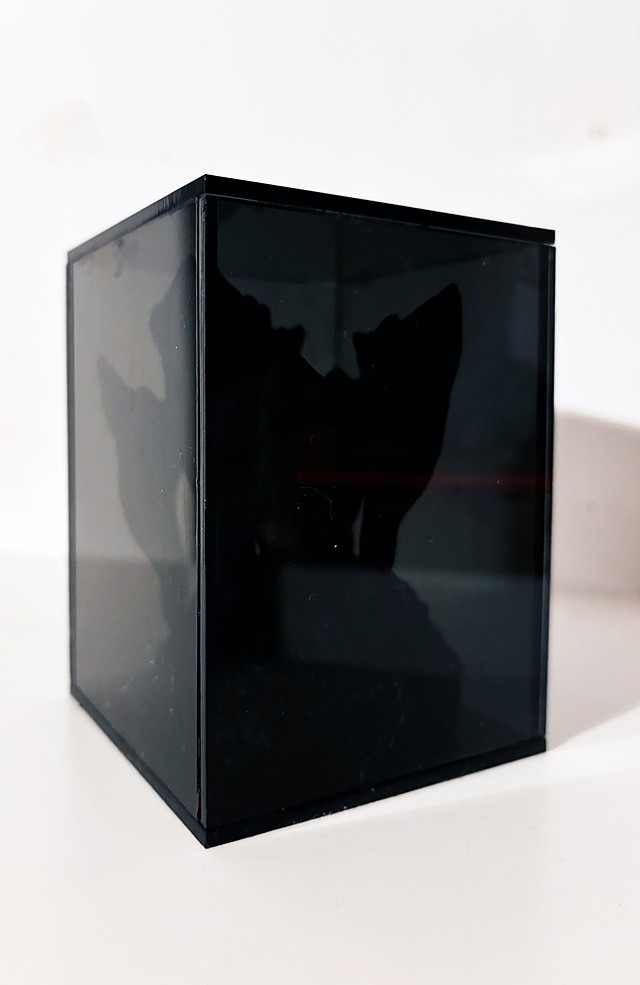 Terence Hannum sculpture: Specimen I