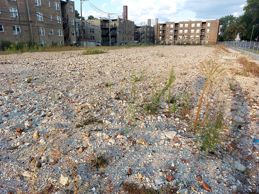 Weeds in former hospital lot