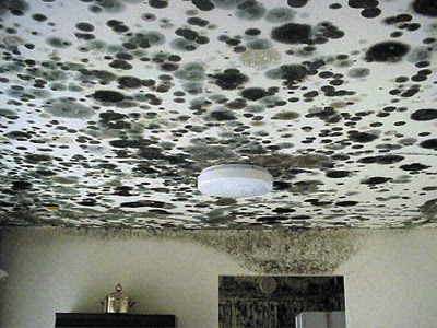 Room damaged by mold from flooding