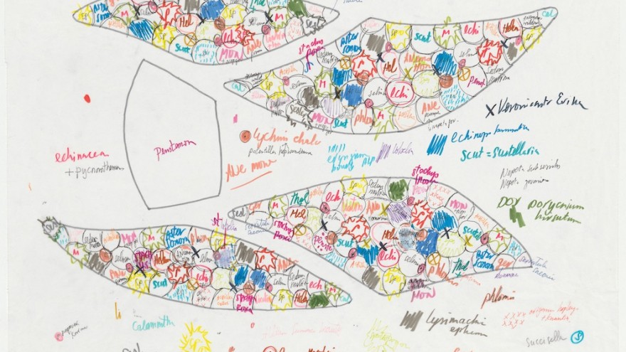 Piet Oudolf garden design drawing