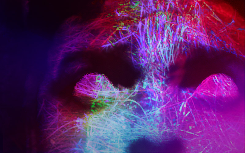 Graphic for Buboes' Boiling Spirits