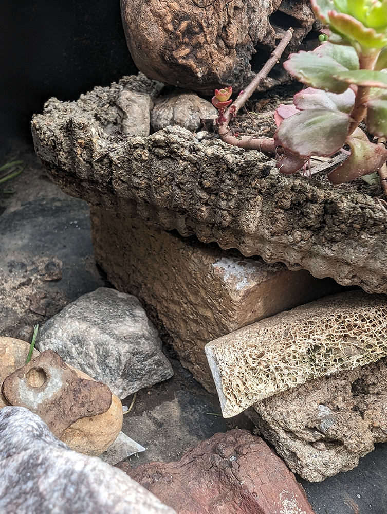 Found objects in garden