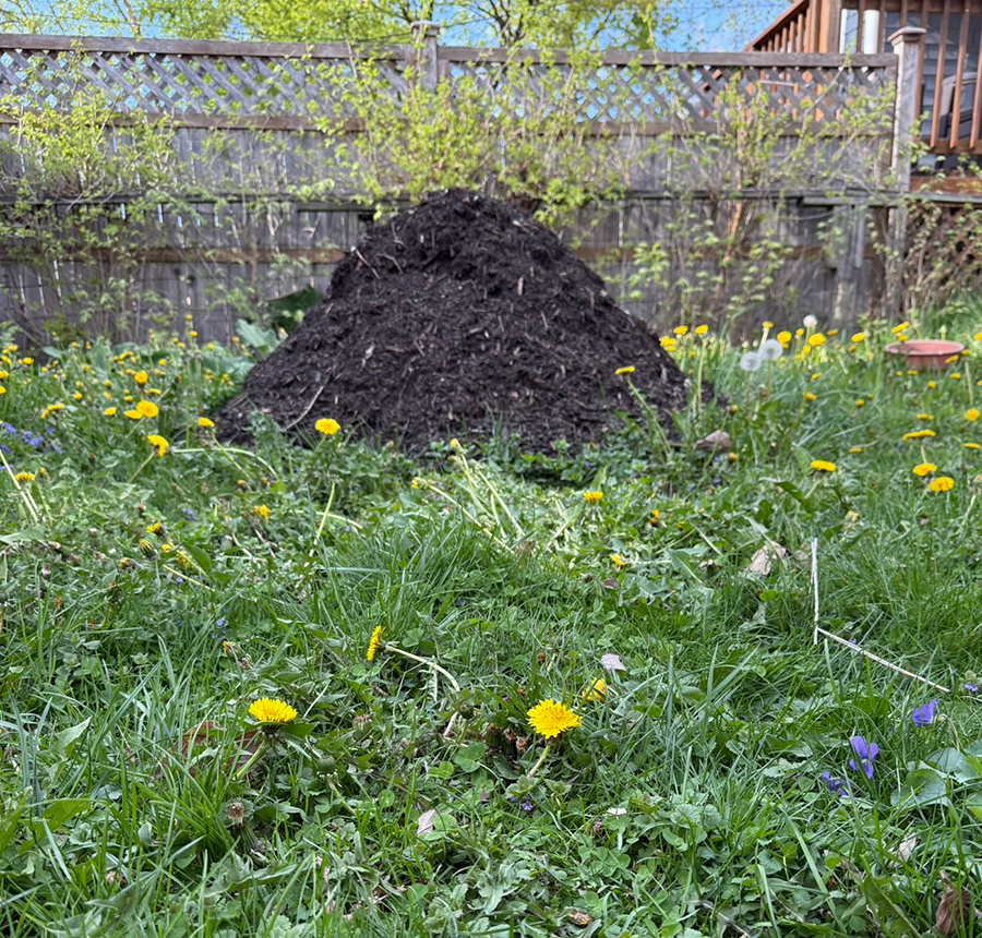 Holly Holmes, photo of compost hill