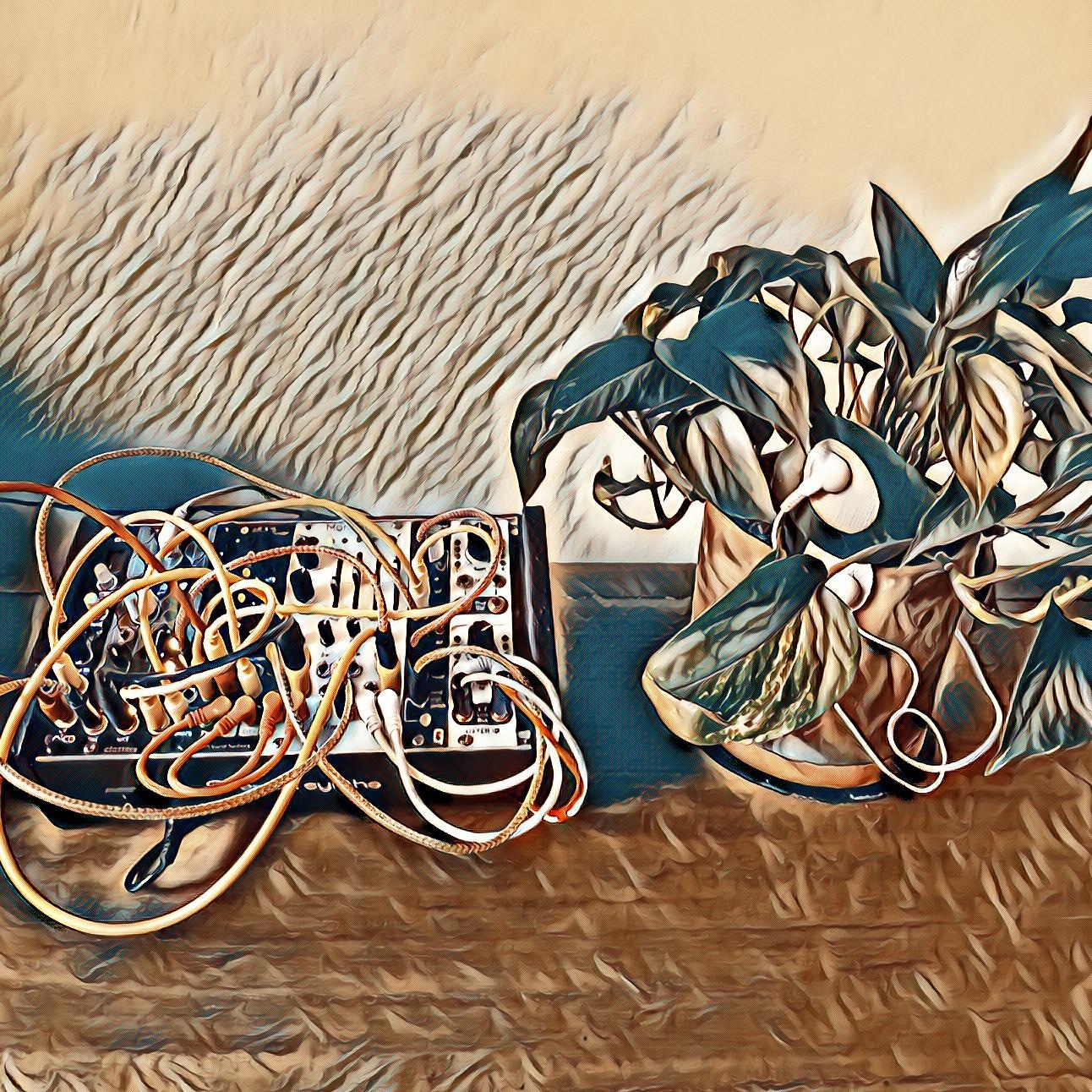 Filtered image of modular synth and plant