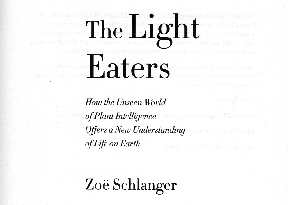 Excerpt from The Light Eaters, Zoe Schlanger