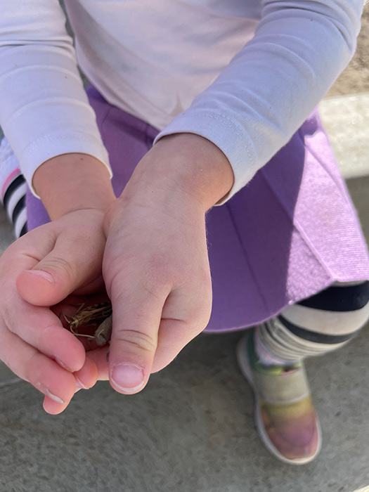 Gigi holding grasshoppers