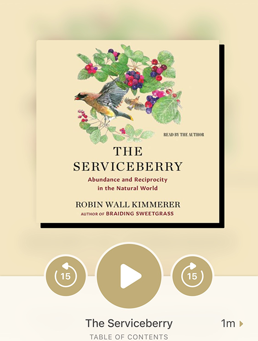Book cover: The Serviceberry