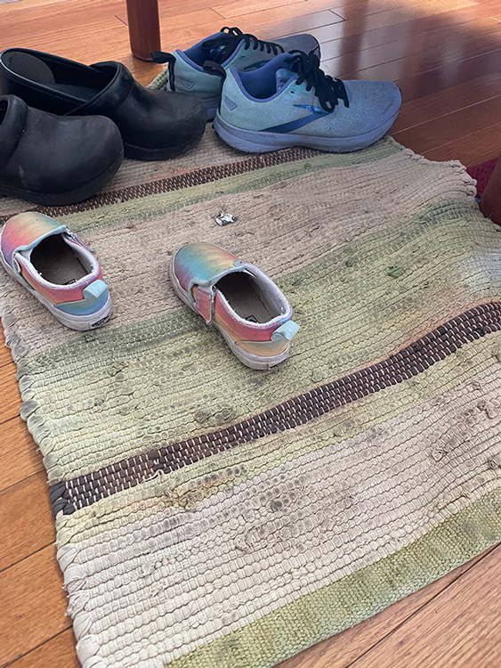 Tracking ash inside the house