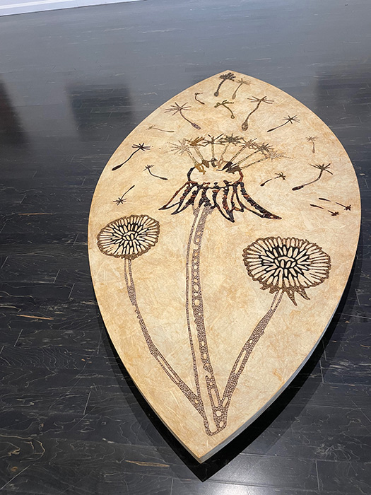 Carolina Caycedo, Seed Mandala