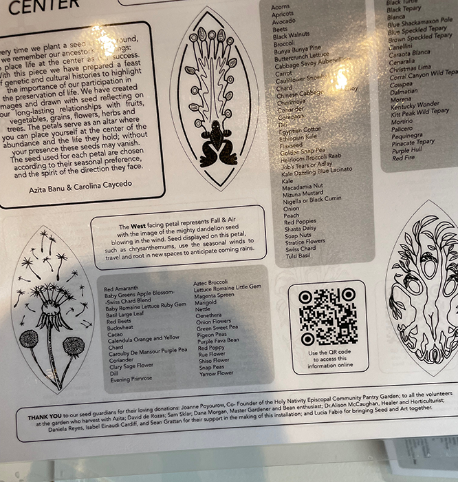 Carolina Caycedo, Seed Mandala