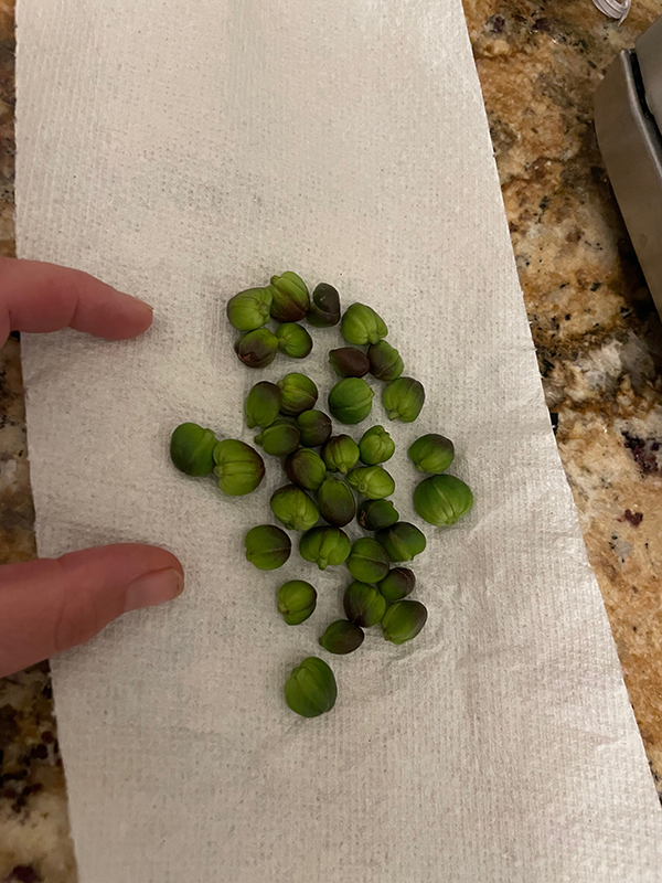 Capers