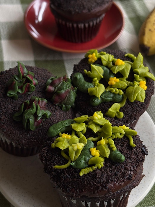 Cupcakes by Michelle Barca