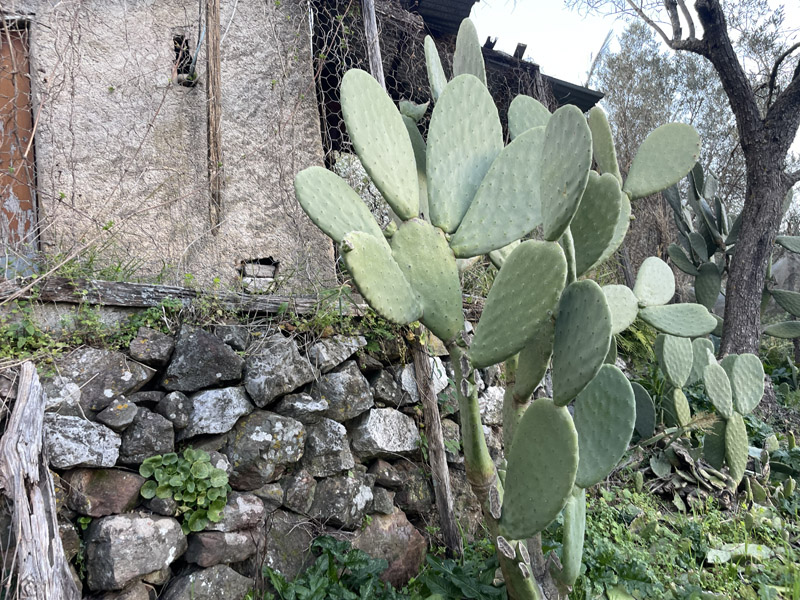 Photo from visit to Sicily, March 2026