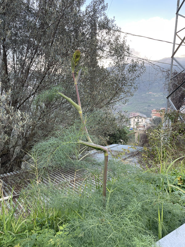 Photo from visit to Sicily, March 2026