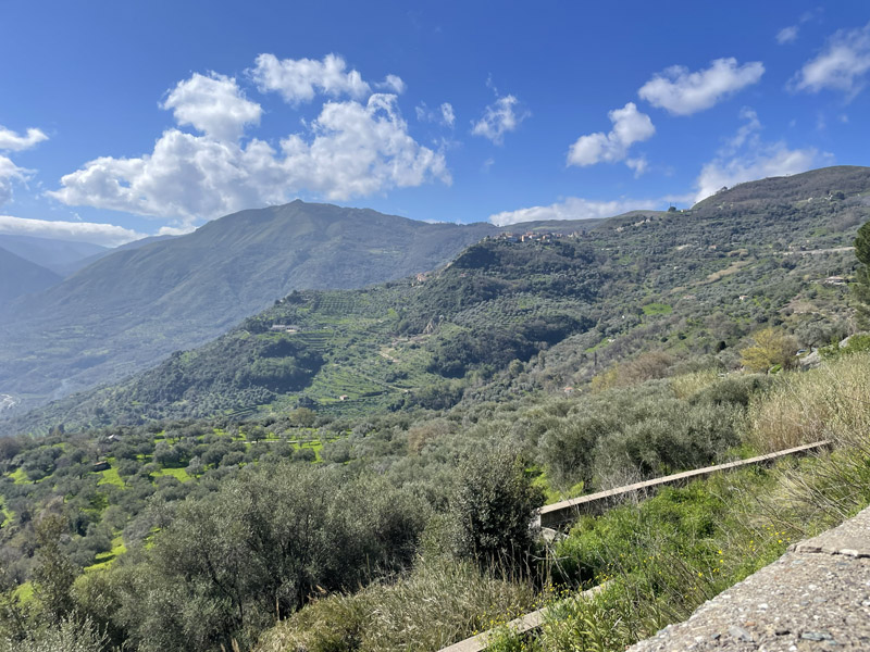 Photo from visit to Sicily, March 2026