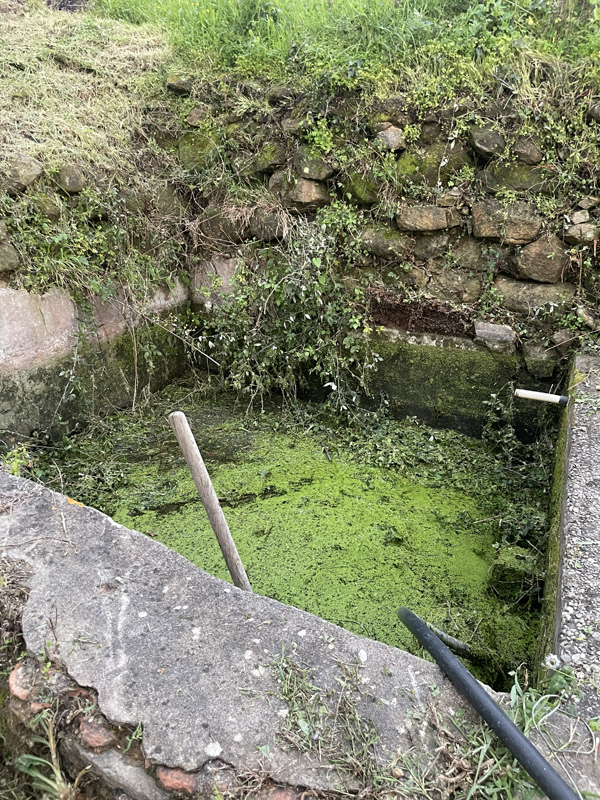 Photo from visit to Sicily, March 2026
