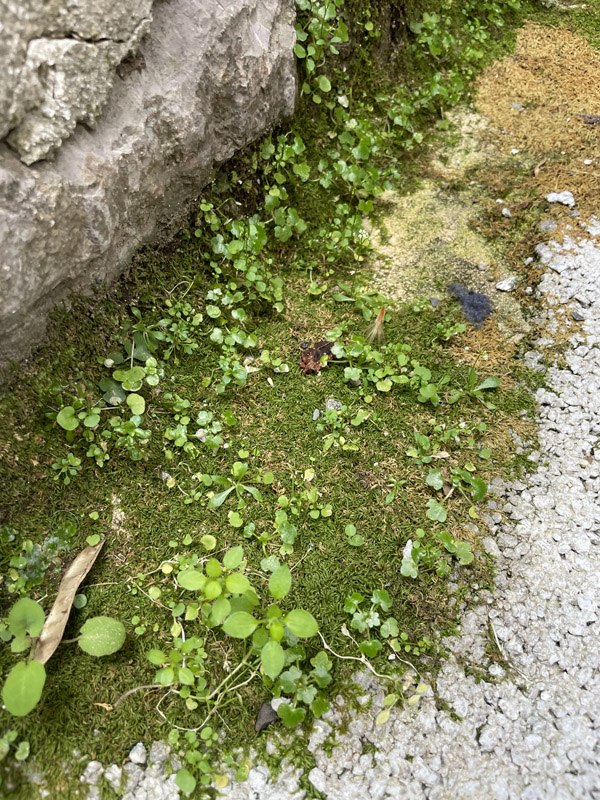 Photo from visit to Sicily, March 2026