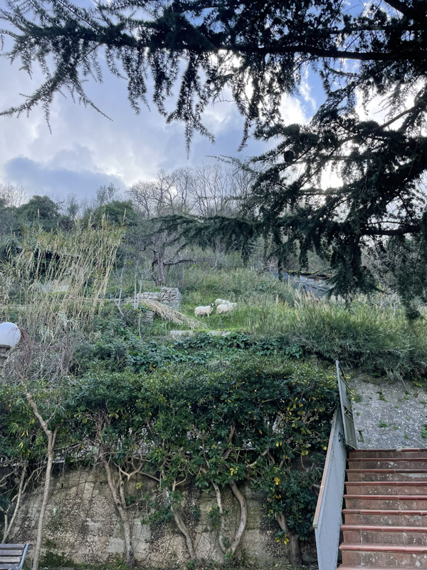 Photo from visit to Sicily, March 2026